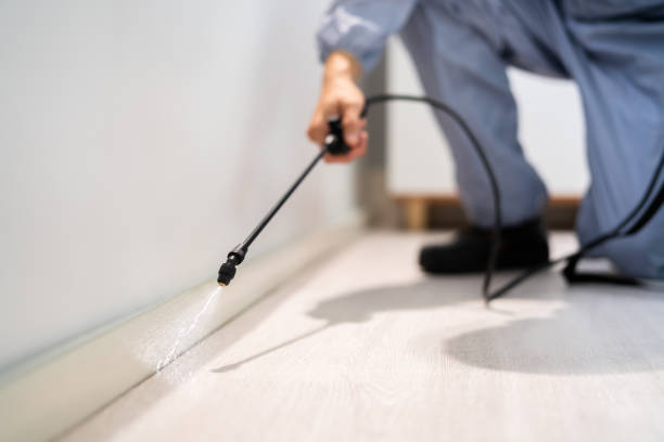 Licensed Termite Control service in Ben Lomond, CA - Nex Pest Control