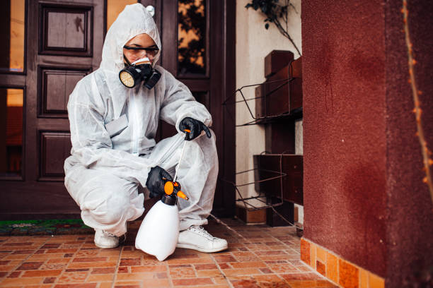 Reliable Termite Control contractor in Ben Lomond, CA by Nex Pest Control