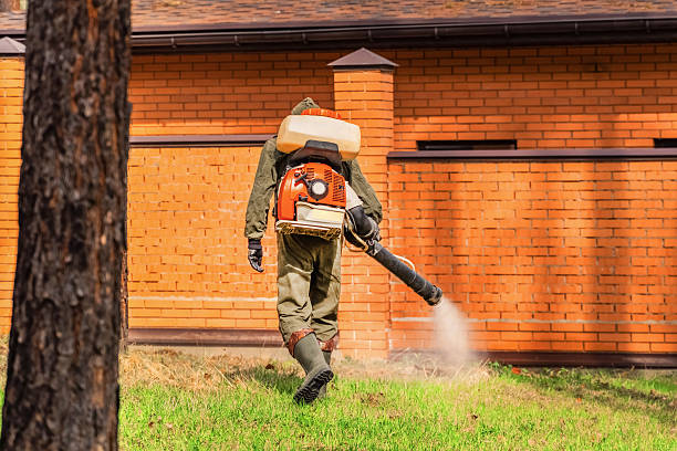 Trusted Fumigation Services service in Ben Lomond, CA - Nex Pest Control